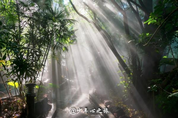 小猫钓鱼开船版最新版下载